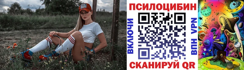 продажа наркотиков  OMG рабочий сайт  Галлюциногенные грибы мухоморы  Буинск 